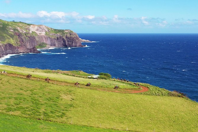Maui Horseback Adventure at Circle M Ranch With Real Cowboys - The first 45 minutes: meeting your horse and getting comfortable