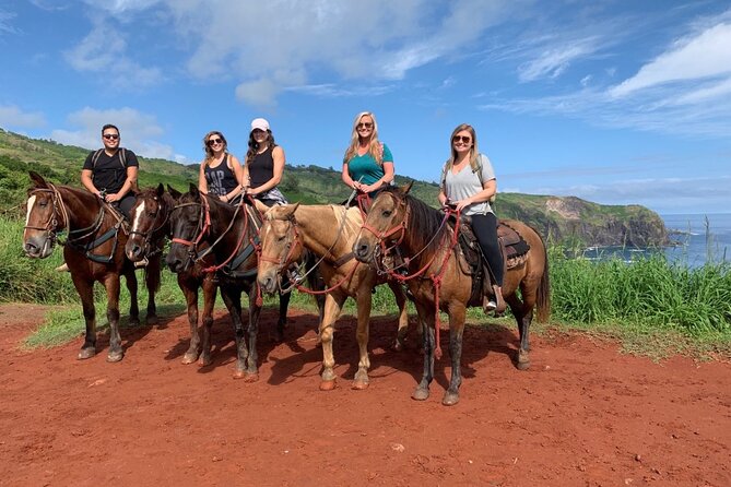 Maui Horseback Adventure at Circle M Ranch With Real Cowboys - How the $185.20 price makes sense
