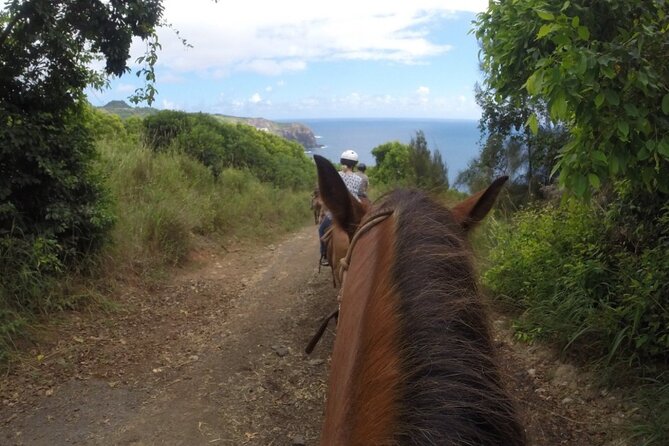 Maui Horseback Adventure at Circle M Ranch With Real Cowboys - Who will enjoy this ride most