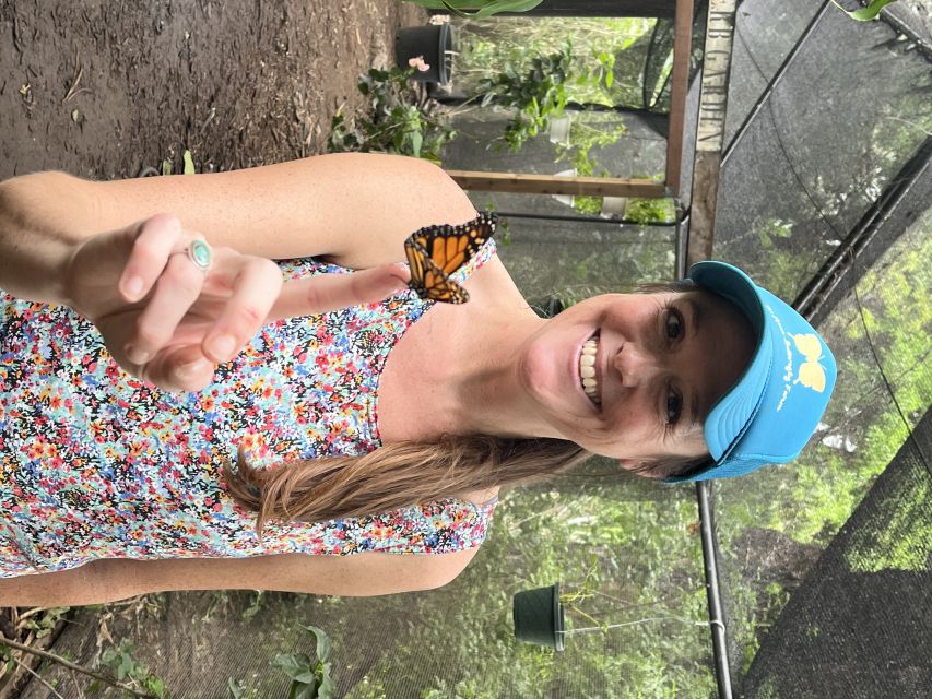 Maui: Interactive Butterfly Farm Entrance Ticket - Should you book the Maui Butterfly Farm?
