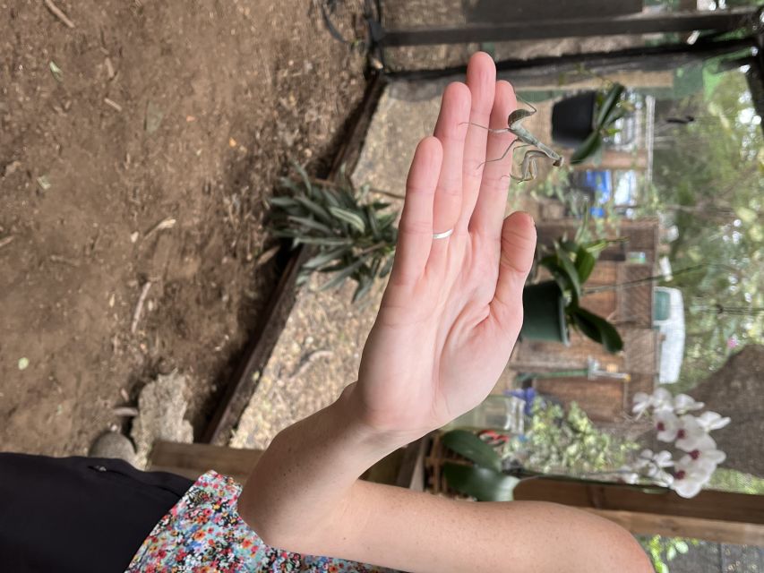 Maui: Interactive Butterfly Farm Entrance Ticket - Planning the $49 admission and timing