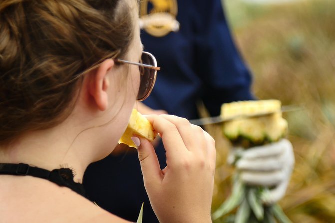 Maui Pineapple Farm Tour in Haliimaile - Is $99.48 a fair price?