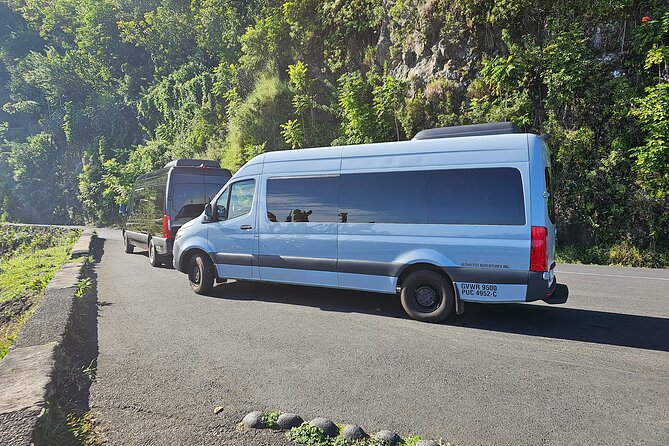Maui: Road to Hana Adventure with Farm to Table Lunch - Ke‘anae Point brings in Maui’s working culture