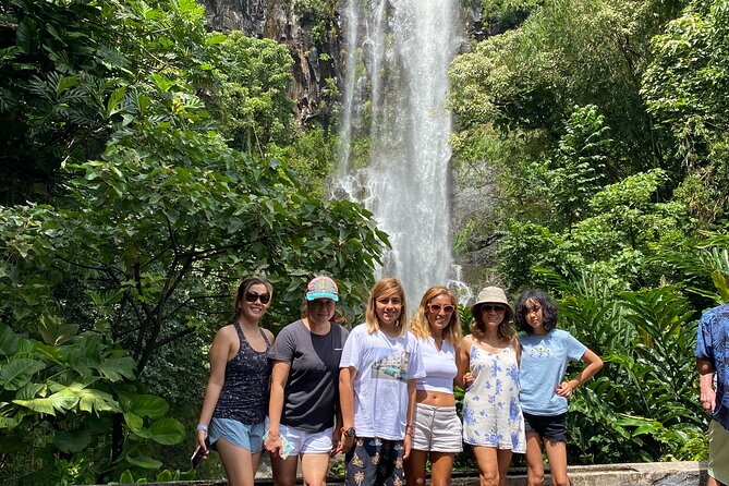Maui: Road to Hana Adventure with Farm to Table Lunch - Waterfalls, eucalyptus, and bamboo from the van