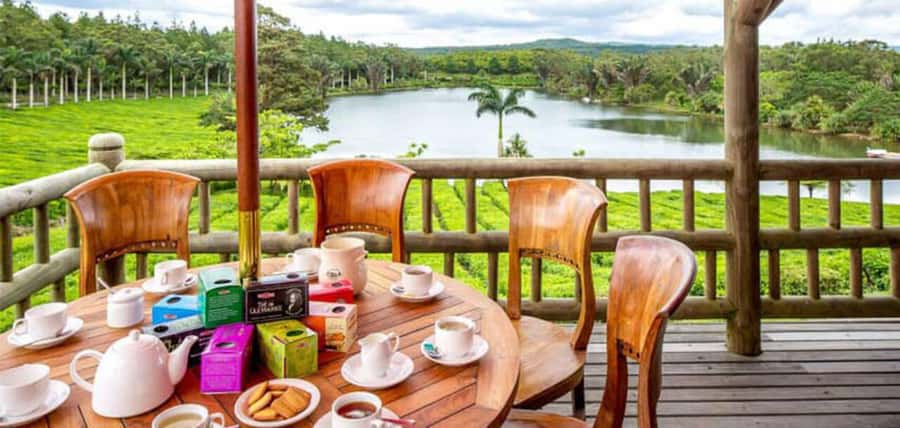 Mauritius: Tea and Sugar Plantation Guided Tour with Lunch - Key points at a glance