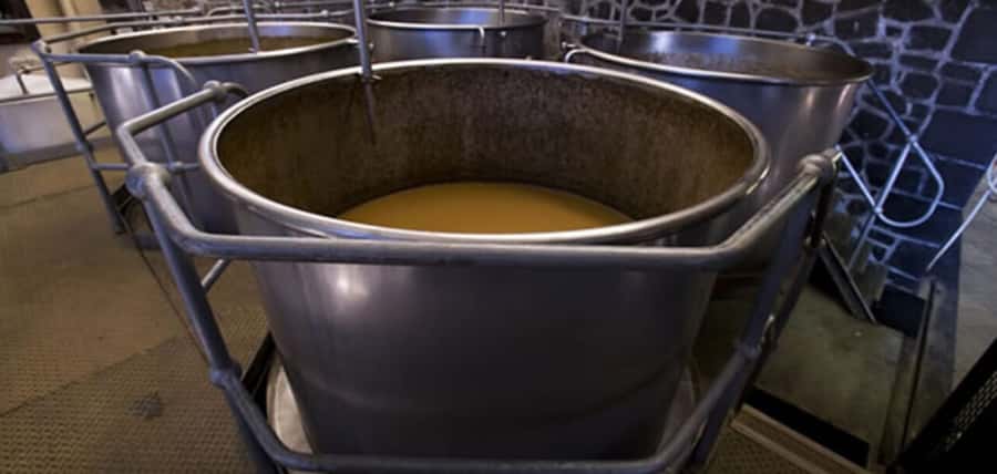 Mauritius: Tea and Sugar Plantation Guided Tour with Lunch - Practical details before you reserve