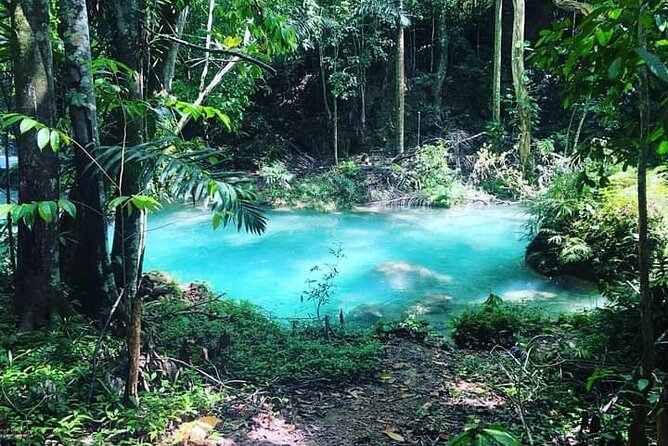 Mayfield Falls, Blue Hole & Rick's Café Tours/Weed Farm option - The $190 price makes sense for a packed day