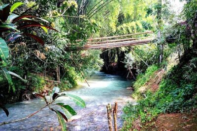 Mayfield Falls, Blue Hole & Rick’s Café Tours/Weed Farm option