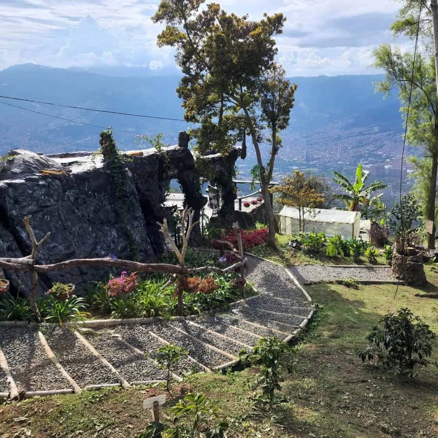 Medellin: Coffee Farm and Barista Workshop Experience - The three-hour barista workshop