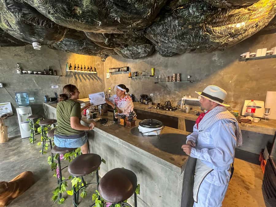 Medellin: Coffee Farm and Barista Workshop Experience - Is $66 a fair price?
