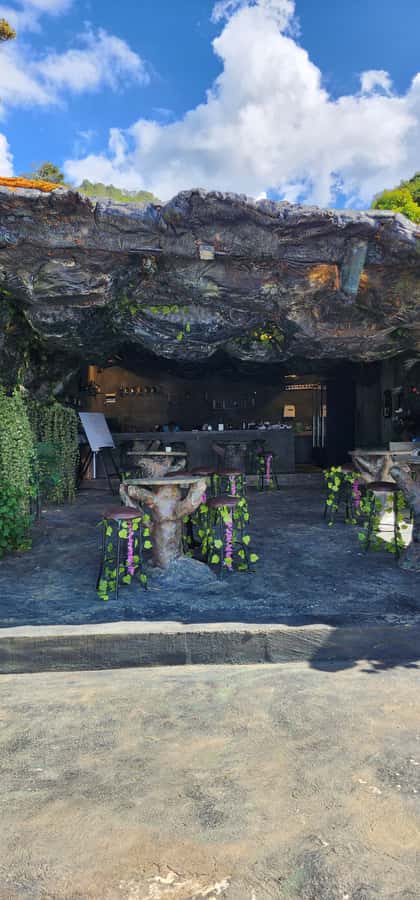 Medellin: Coffee Farm Tour & Spa with Overnight Glamping - Food, views, and the trade-off in comfort