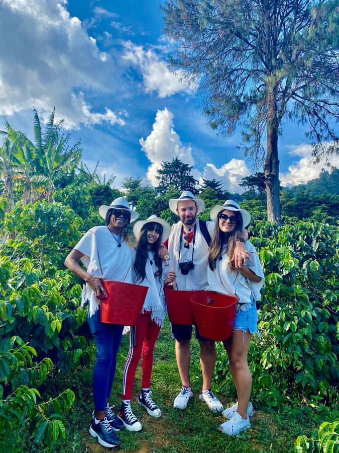 Medellín Coffee Farm Tour with Trolley and Cable Car Ride - Walking through Comuna 8 and Barrio La Sierra