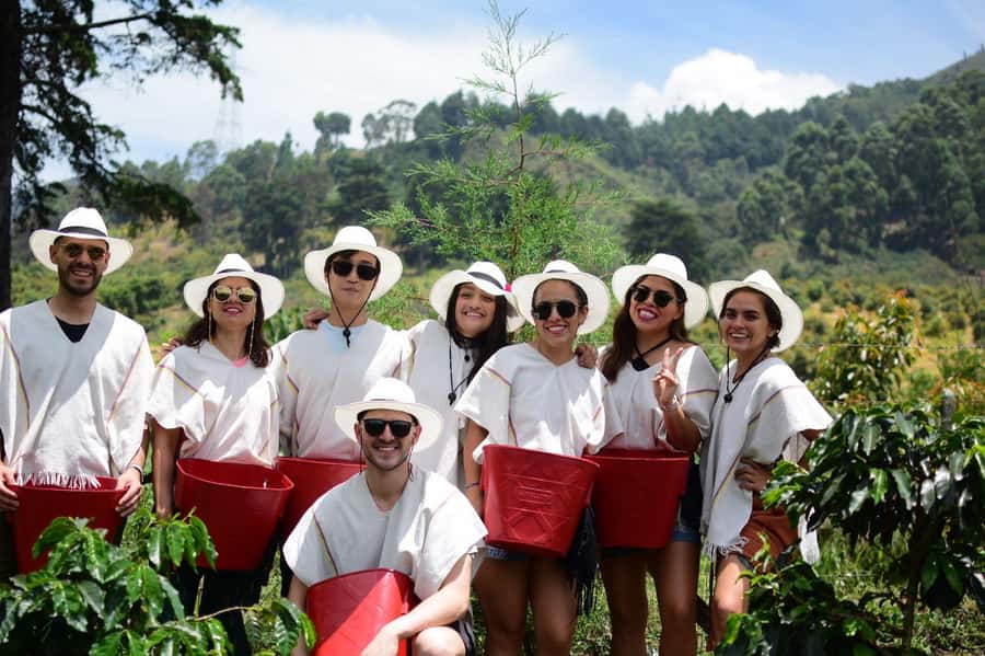 Medellín Coffee Farm Tour with Trolley and Cable Car Ride - Picking coffee berries in the field