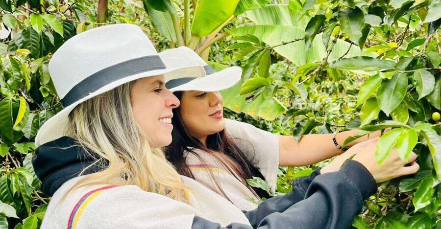 Medellín Coffee Farm Tour with Trolley and Cable Car Ride - Practical booking details that matter