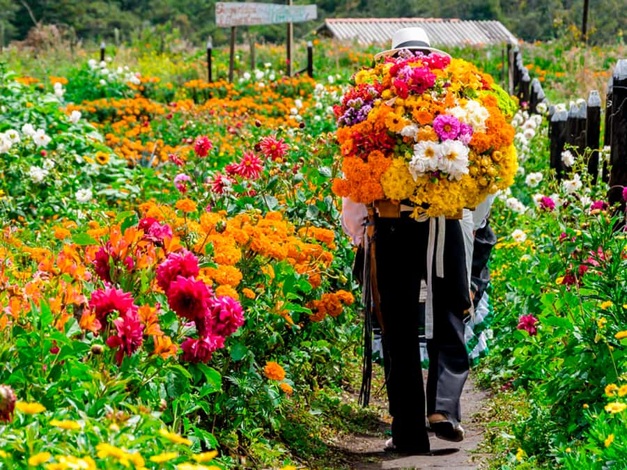 Medellín: Flower Farm & Silletero History Tour - The 45-minute ride from Medellín to Santa Elena