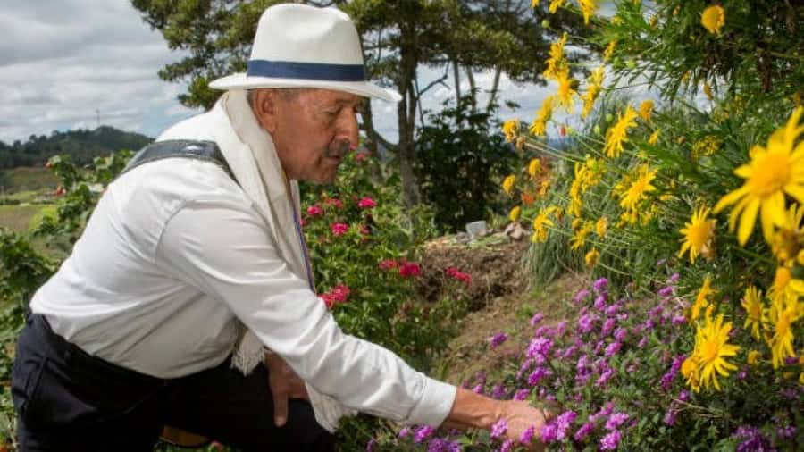Medellín: Flower Farm & Silletero History Tour - Seeing how festival displays are made