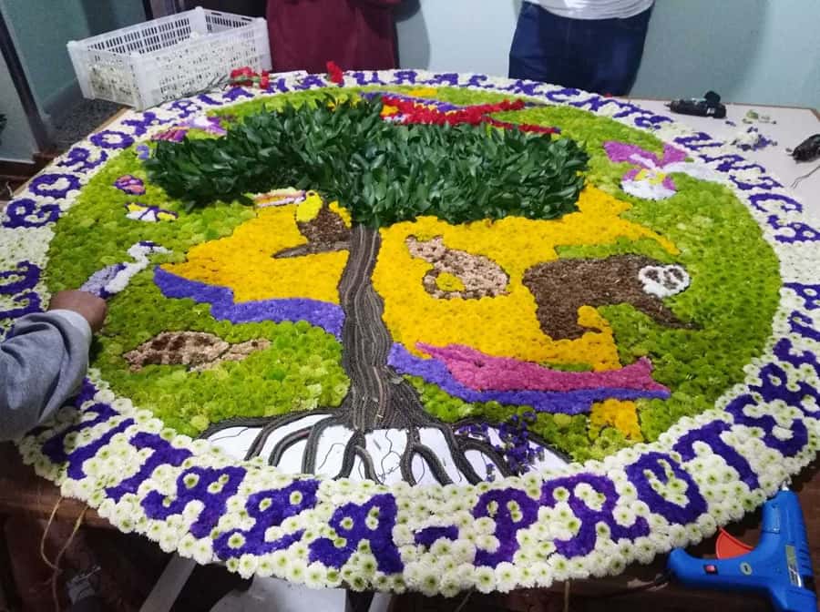 Medellín: Flower Farm & Silletero History Tour - Who will enjoy this most?