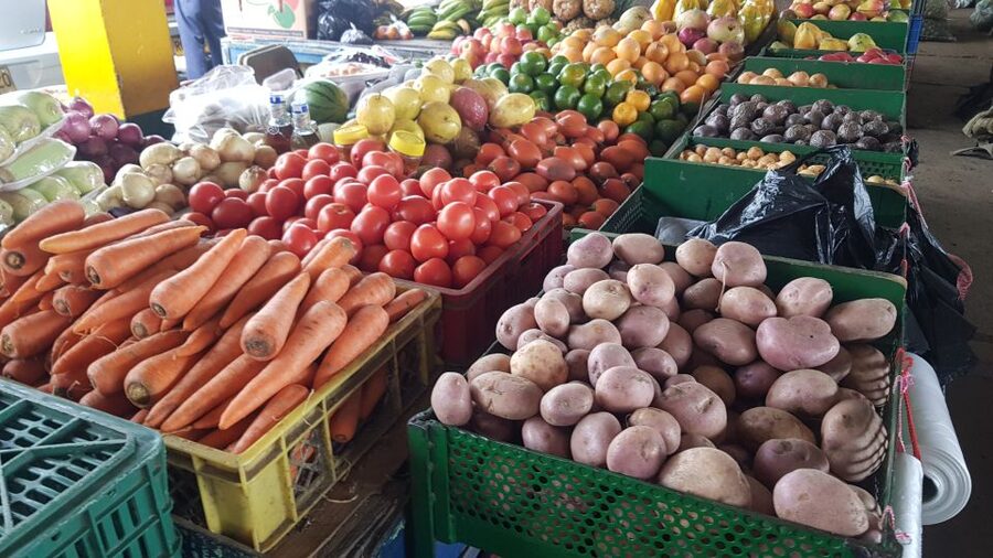 Medellin: Guatape, El Peñol Coffee Farm Private Tour & Fruit - What $169 buys you