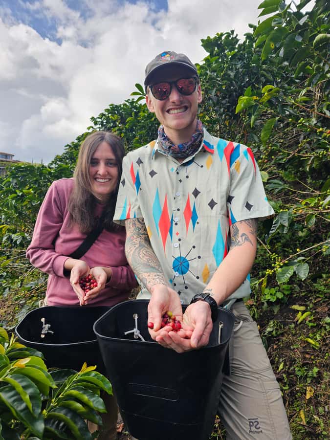 Medellin: Guatape, El Peñol Coffee Farm Private Tour & Fruit - Who should book this day trip?