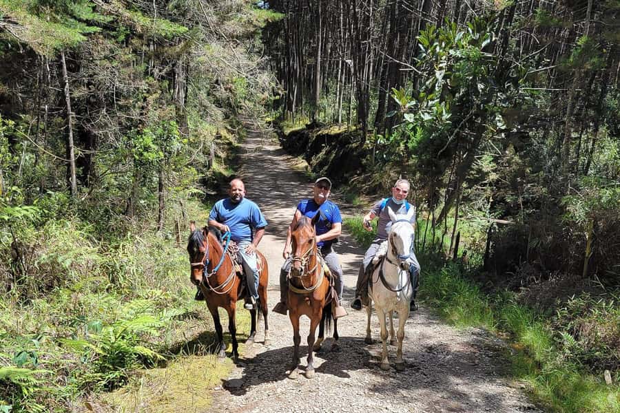 Medellin: Horseback Riding Coffee Farm Tour with Coffee Spa - From Medellín to Arví and into the mountains
