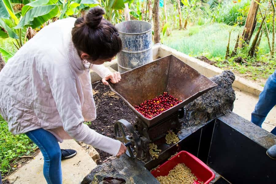 Medellin: Horseback Riding Coffee Farm Tour with Coffee Spa - Coffee tasting with several brewing methods