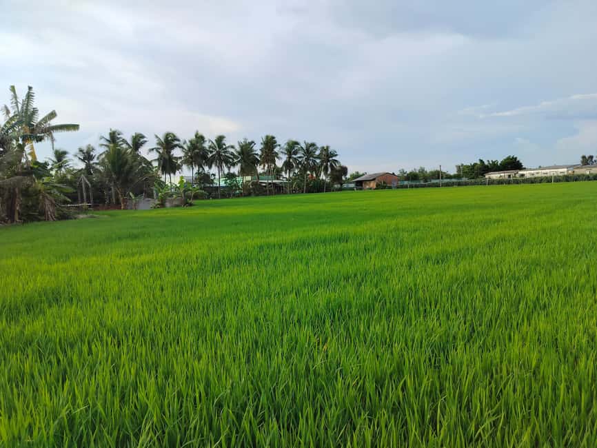 Mekong Delta Day Trip: Explore Cycling & Cook Classes Farm - Why this day trip works for first-time Mekong visitors