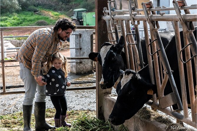 Menorca: Cheesemaking and Farm-Fresh Product Tasting - A hands-on introduction to Menorca’s farm food