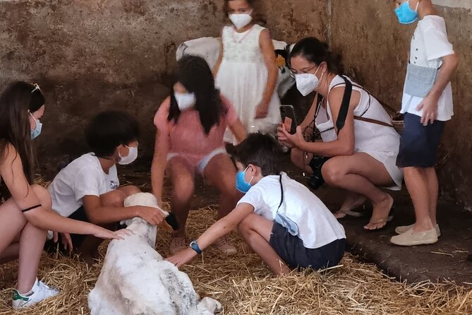 Menorca: Cheesemaking and Farm-Fresh Product Tasting - Tasting farm-fresh products after the tour