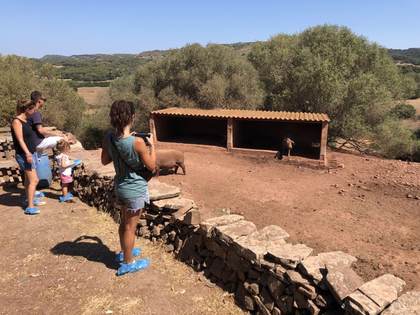 Menorca: Cheesemaking and Farm-Fresh Product Tasting - Who will enjoy this farm visit most?