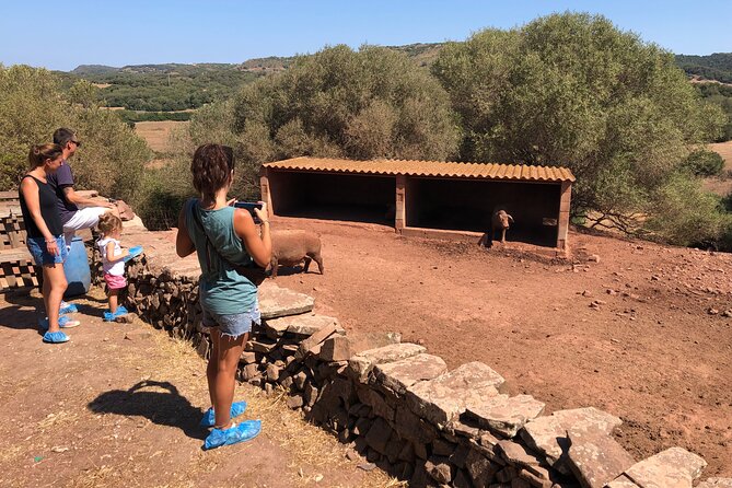 Menorca: Cheesemaking and Farm-Fresh Product Tasting - Starting at Quesos Sa Roqueta in Ferreries