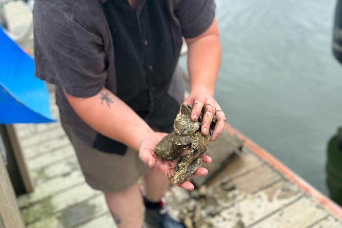 Mere Point Oyster Farm Tour - Arriving at Mere Point Oyster Farm