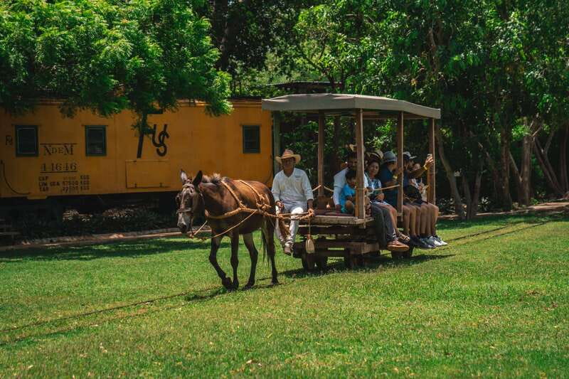 Merida: Hacienda Sotuta de Peon w/ Cenote & Henequen Tour - The mule-drawn truck ride through the fields