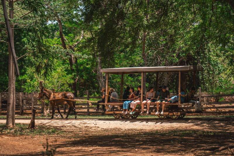 Merida: Hacienda Sotuta de Peon w/ Cenote & Henequen Tour - Timing, language, and group size
