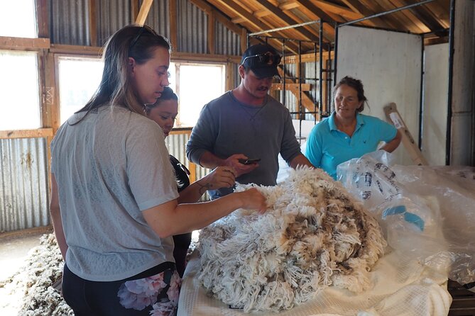 Merino Farm Experience - Gardens that show another side of farm life