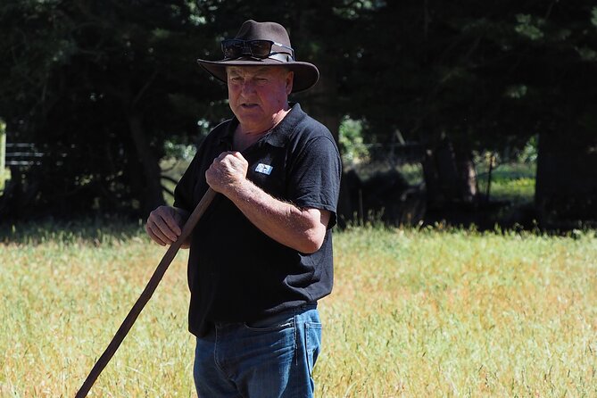 Merino Farm Experience - Is $58.95 good value?