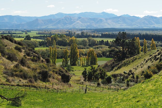 Merino Farm Experience - Inside the woolshed with super-fine wool