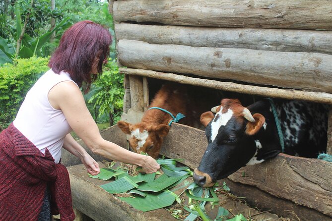 Microfinance family farm tour - all proceeds to charity - Who will enjoy this most