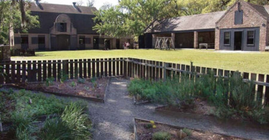 Middleton Place Plantation Tour - Key points to know before you book