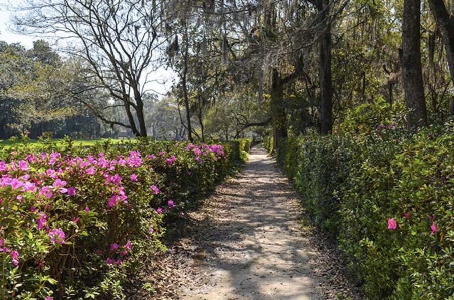Middleton Place Plantation Tour - Is $125 a fair price?