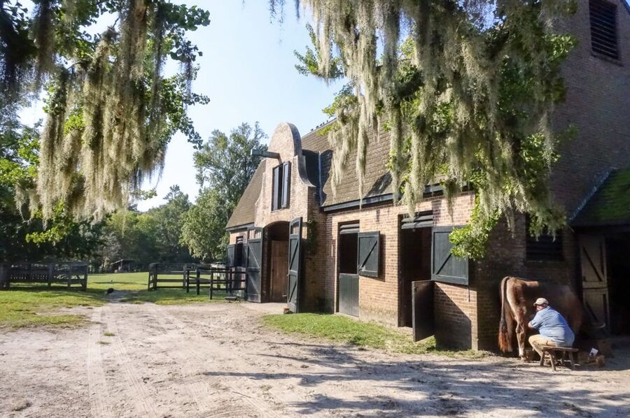 Middleton Place Plantation Tour - Who will enjoy this plantation tour?