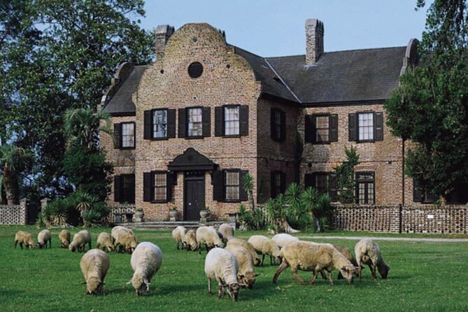 Middleton Plantation-3 hour guided tour- hotel pickup-admission - Entering Middleton Place after the city tour