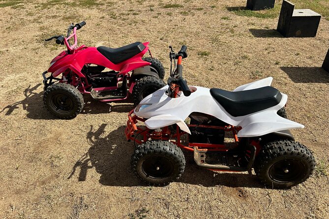 Mini ATVs and Farm Animal Experience - A short ATV ride with a longer farm visit
