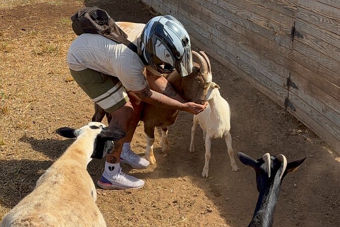 Mini ATVs and Farm Animal Experience - Why the small group size matters