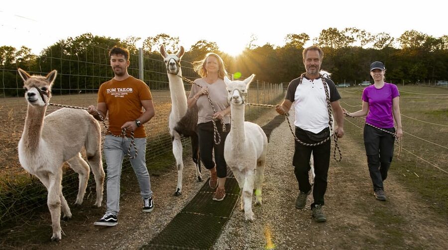 Mödling/Vienna: Scenic Guided Hike with Alpacas and Llamas - Meeting the Middle Earth alpacas and llamas
