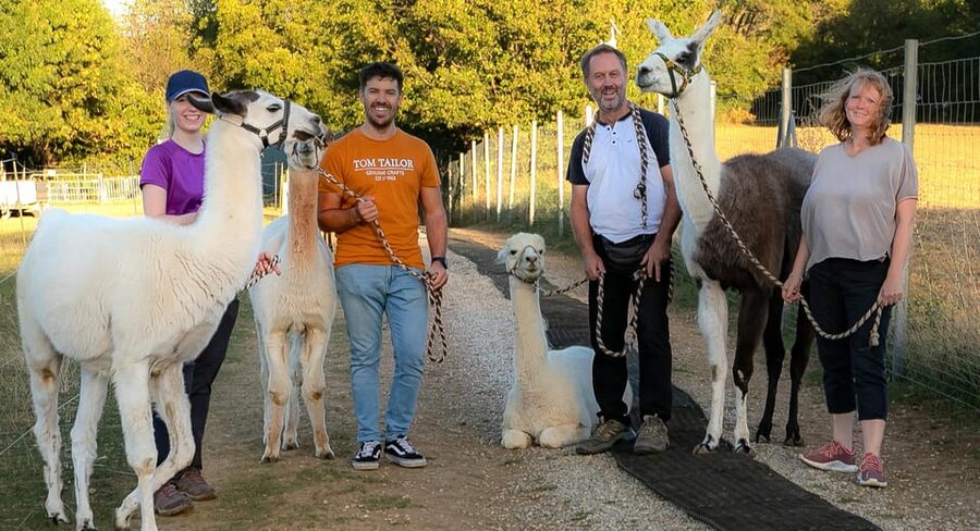 Mödling/Vienna: Scenic Guided Hike with Alpacas and Llamas - A well-cared-for animal experience