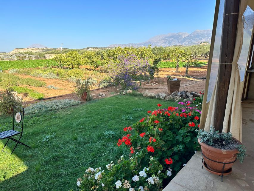 Moires: Cooking Class and Olive Oil Tasting at a Family Farm - A meal that feels personal, not staged