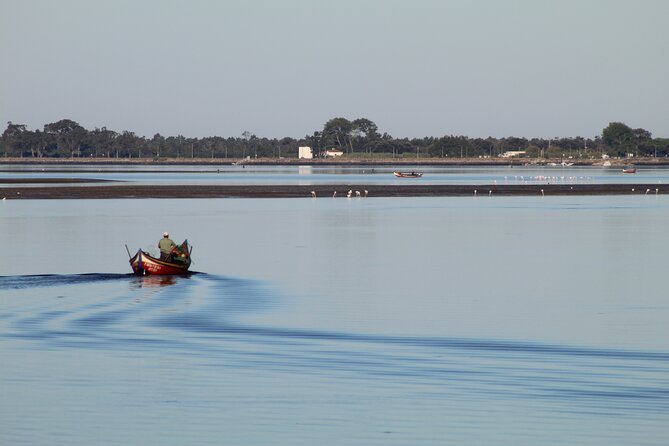 Moliceiro boat trip, with experience in bivalves harvesting - Key points to know before you go