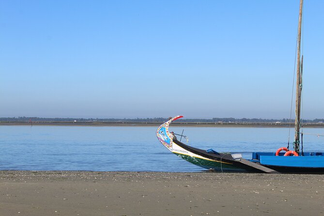 Moliceiro boat trip, with experience in bivalves harvesting - A working estuary, not just a pretty boat ride