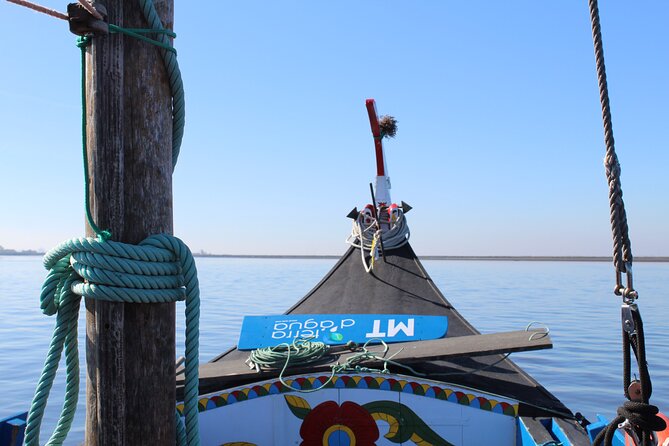 Moliceiro boat trip, with experience in bivalves harvesting - The island stop and the bivalve lesson