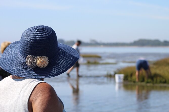 Moliceiro boat trip, with experience in bivalves harvesting - What makes this experience different